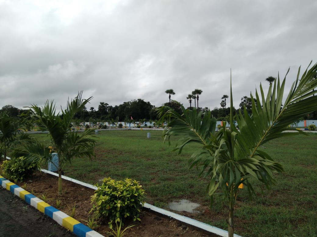 Gallery Image 25